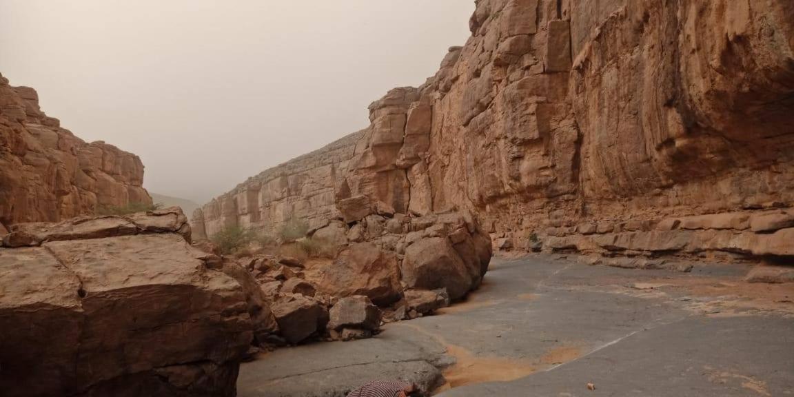 Auberge Dinosaur Kem Kem Tafraoute Sidi Ali Exterior foto
