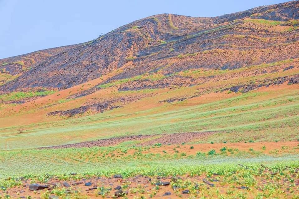 Auberge Dinosaur Kem Kem Tafraoute Sidi Ali Exterior foto