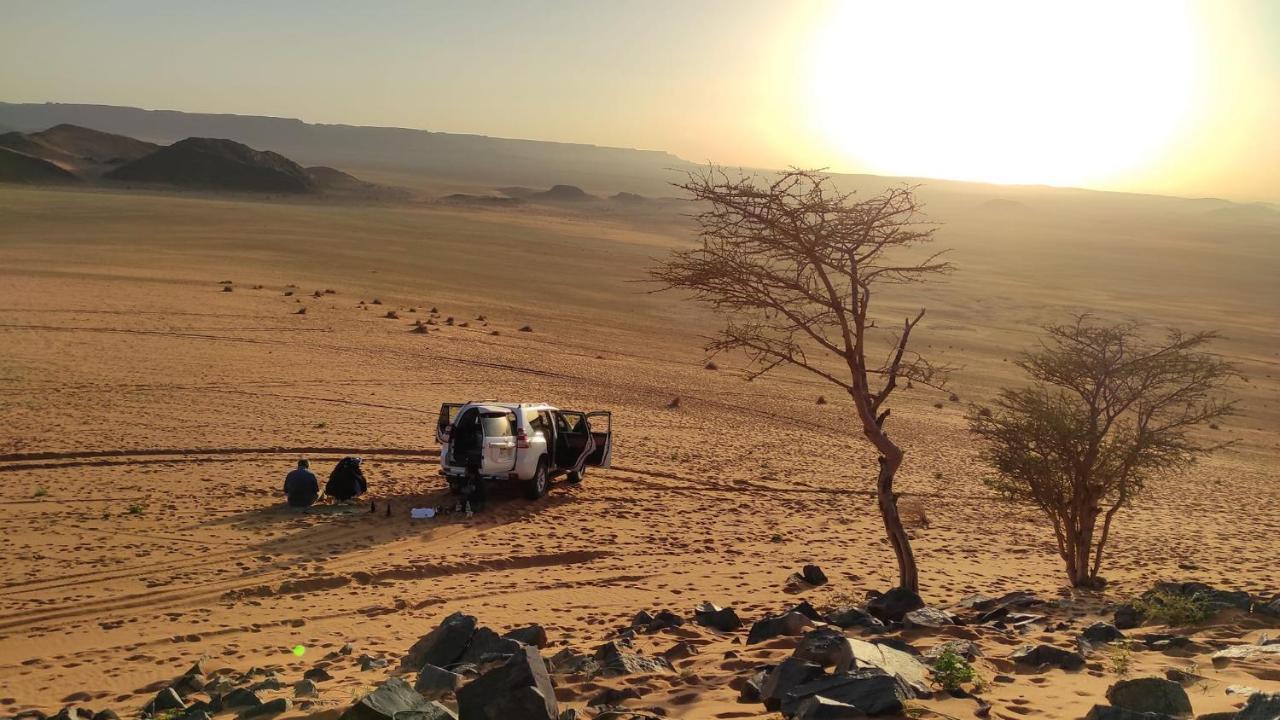 Auberge Dinosaur Kem Kem Tafraoute Sidi Ali Exterior foto